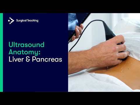 Ultrasound Anatomy: Liver and Pancreas