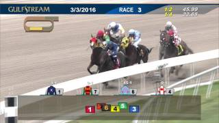 Gulfstream Park Race 3 | March 3, 2016