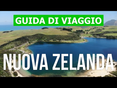 Video: Cosa Vedere E Fare A Wellington, In Nuova Zelanda