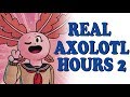 REAL AXOLOTL HOURS 2