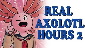 REAL AXOLOTL HOURS 2