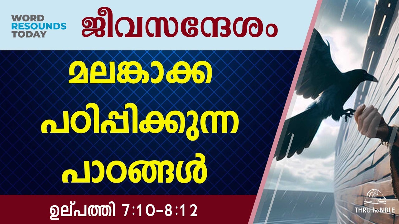 #TTB ജീവസന്ദേശം - ഉല്പത്തി 7:10-8:12 (0025) Genesis Malayalam Bible Study