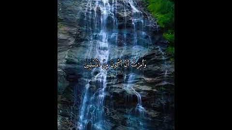 واتس اب قران كريم القارئ ياسر دوسري (سوره النمل )