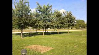 Parque Verde Coimbra