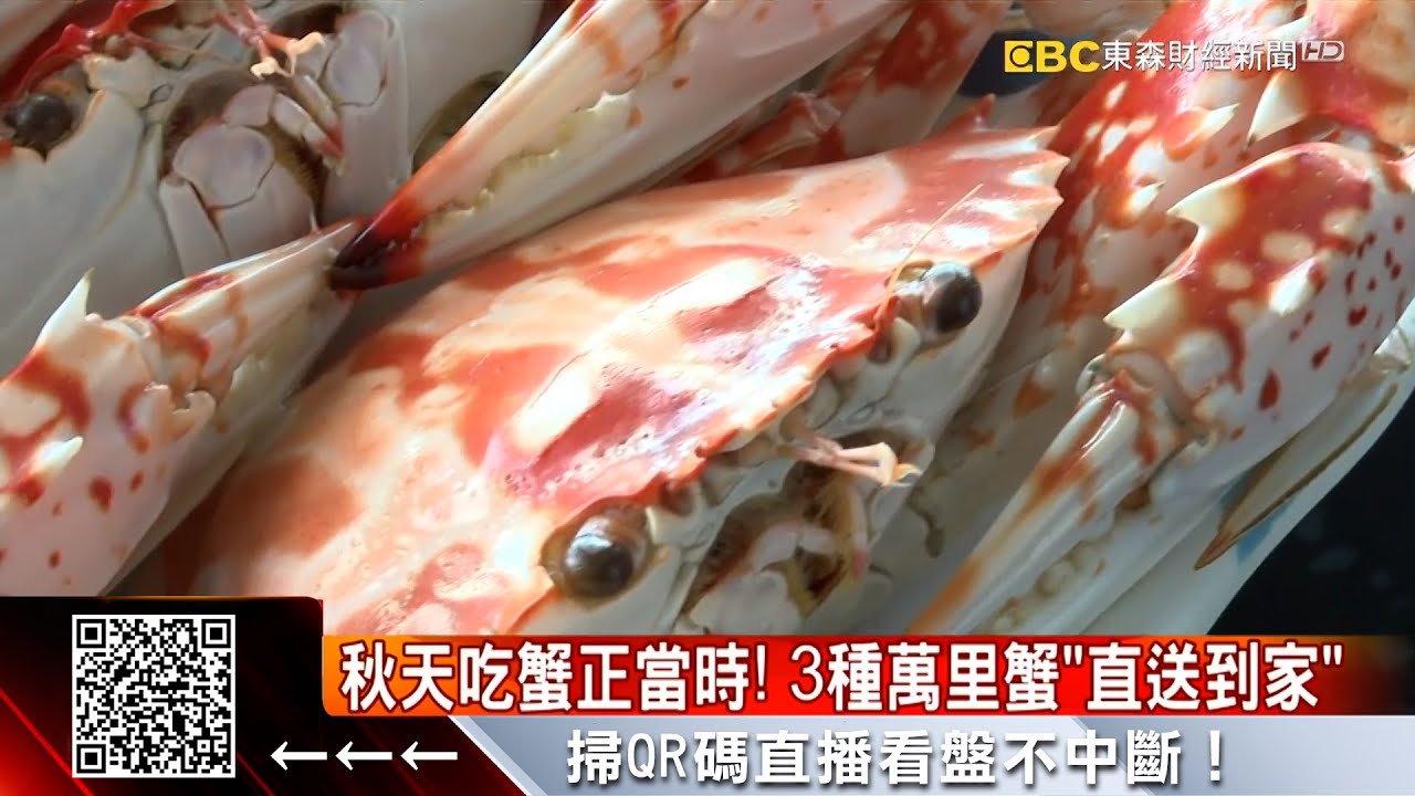 秋蟹到 萬里蟹 煮好宅配 賣逾百箱 57東森財經新聞 Youtube 秋蟹到 萬里蟹 煮好宅配 賣逾百箱 57東森財經新聞 Youtube