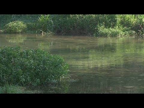 Vídeo: Haureu D’alimentar La Vostra Mascota Des De La Taula D’acció De Gràcies? Absolutament