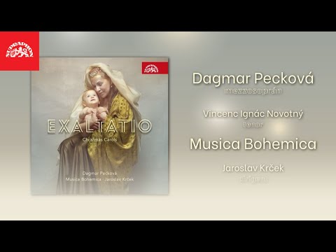 Dagmar Pecková, Musica