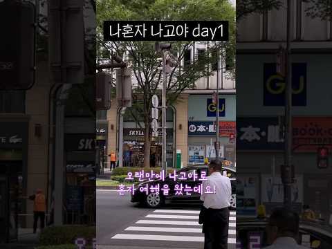 나혼자 <strong>나고야여행</strong> day1✈️ (ft.미소카츠/하브스/쇼핑/이자카야)