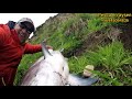 Pesca en aysen,  emocionante captura  de un gran salmón chinook .