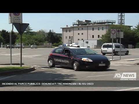 INCENDIO AL PARCO PUBBLICO: DENUNCIATI TRE MINORENNI | 18/03/2023