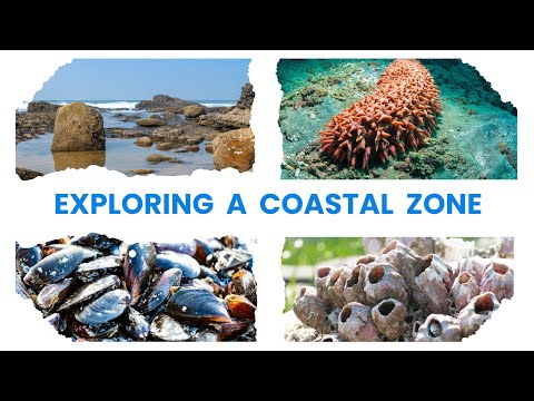 Exploring A Coastal Zone