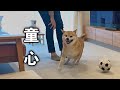 【ふたり暮らし】昔のようにはしゃぐ我が子が愛おしい