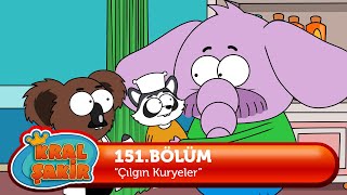 KRAL ŞAKİR: Çılgın Kuryeler - 151. Bölüm KRAL ŞAKİR: Çılgın Kuryeler - 151. Bölüm