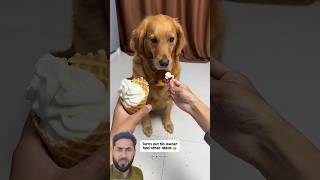 He Took the Bigger Piece… But The Dog’s Reaction 😂🐶💔