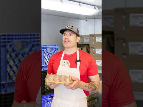 Baby Emoji Cat TC! #emojicat #flipaclip