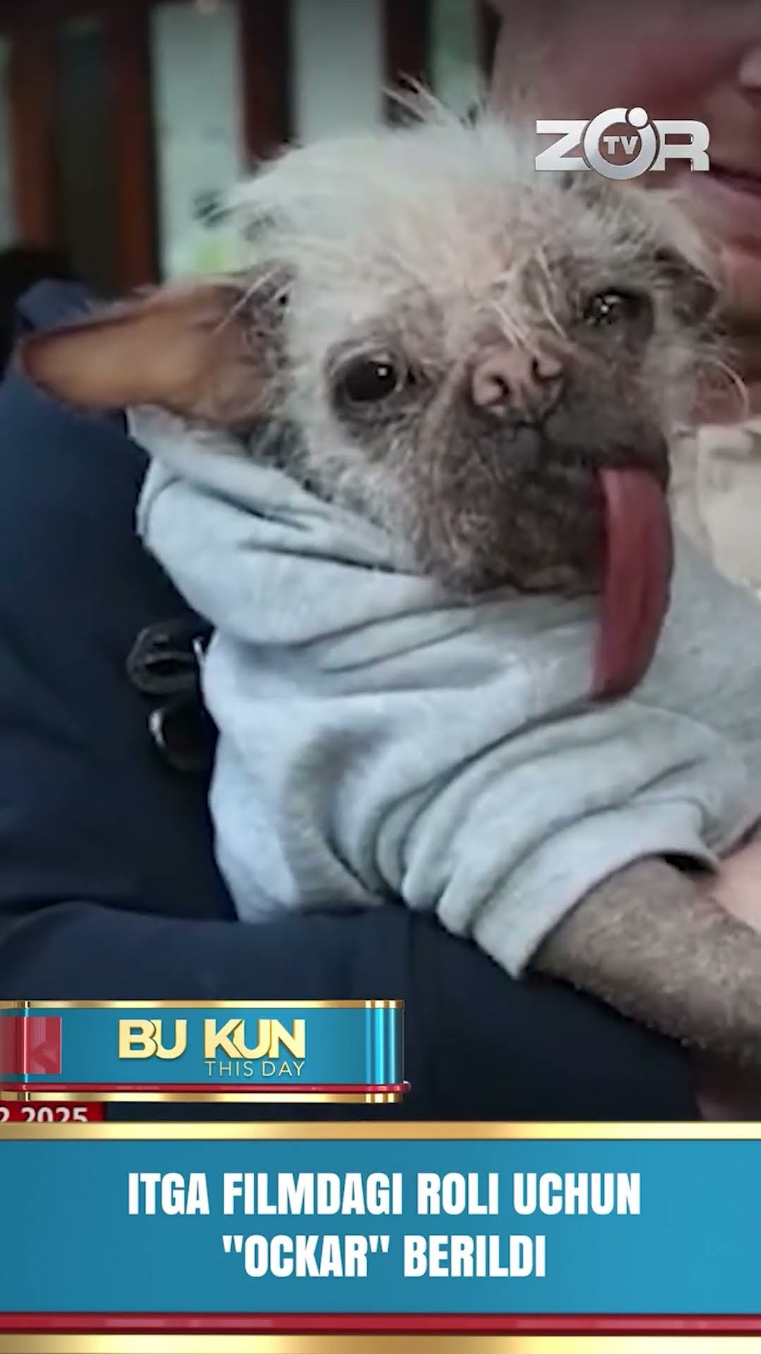 BU KUN