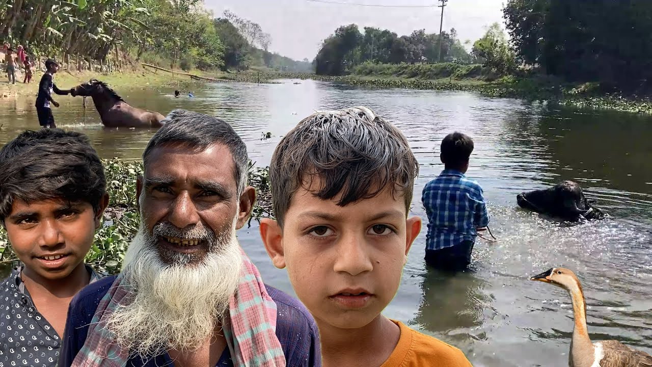 মহিষের নাকি ঠান্ডা লাগে না ! বিল্লাল কাকার জমি জমা নেই তাহলে তিনি কি করেন