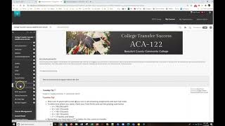 BDP Presentation Tips for ACA Instructors