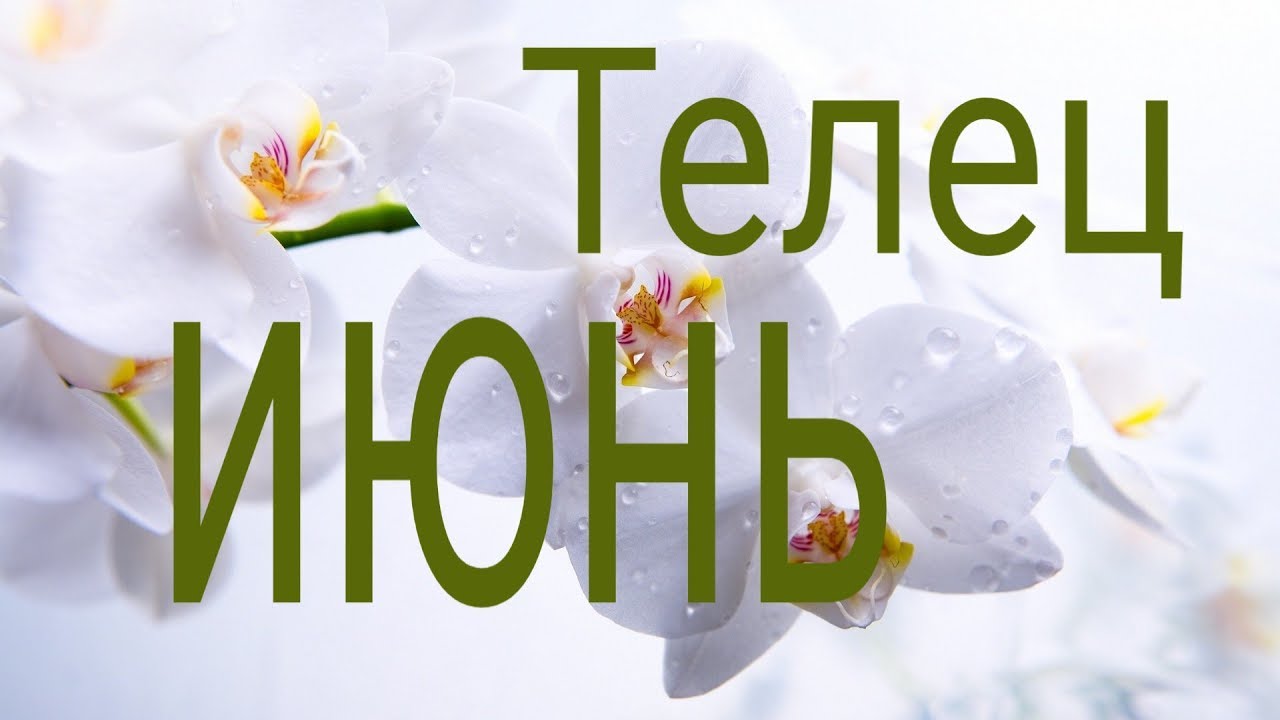 Телец июнь