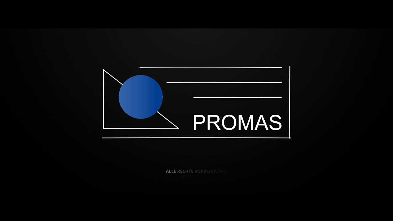 Vielblattsäge Raimann Profirip KM 310 M - www.promas-woodworking.com