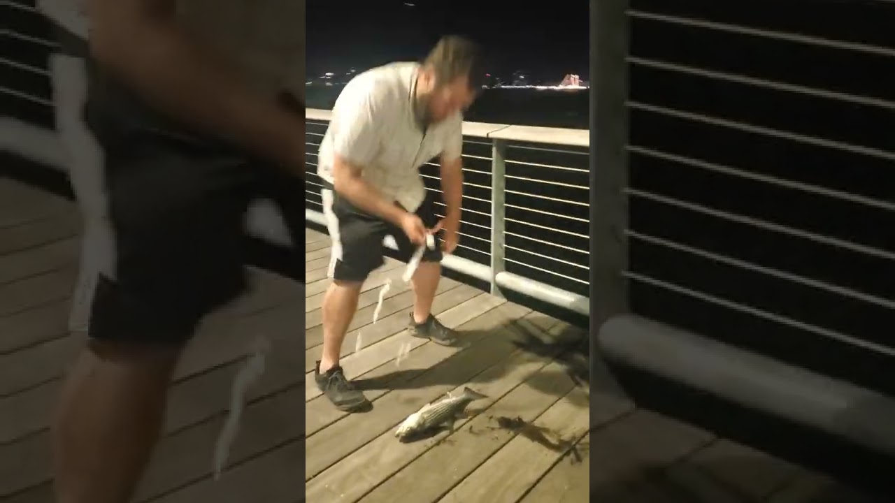 fishing in Seaport Boston