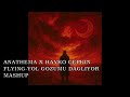 Anathema X Hayko Cepkin Flying Yol Gözümü Dağlıyor Mashup Anathema X Hayko Cepkin Flying Yol Gözümü Dağlıyor Mashup