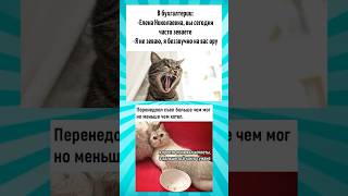 Мемасики про котиков часть 332 #meme #funny #shorts