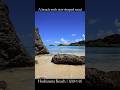 Hoshizuna Beach Star Sand Beach Iriomote Okinawa Japan 星砂の浜 西表島 沖縄 Relaxing Music Shorts 