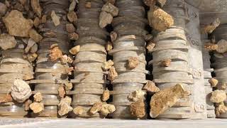 August-Müller Rottweil, Rollenrost, Roller Screen