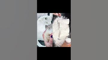 Part 40 Loved it? Like, comment, subscribe! Let