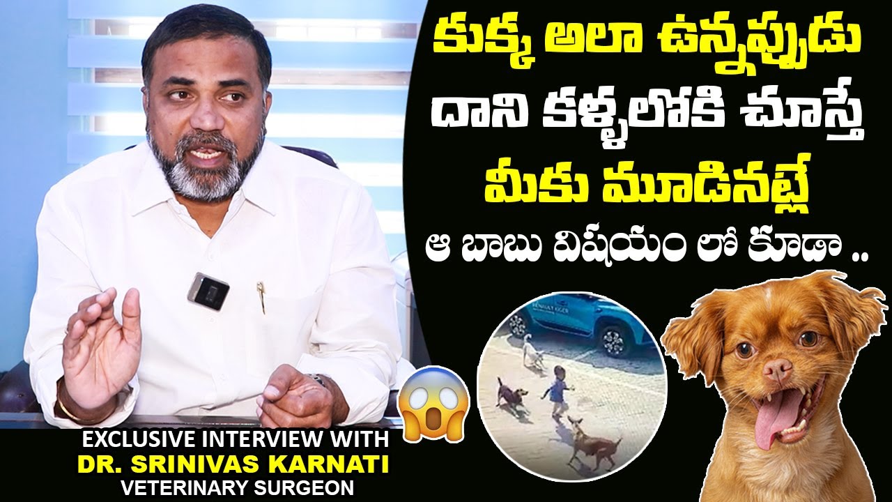 Dr Srinivas Reveals UNKNOWN Facts About Hyderabad Street Dogs Attack On