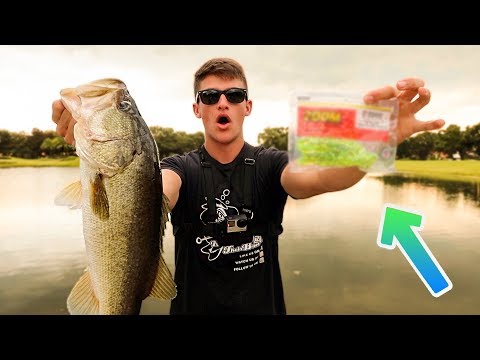 My SECRET Bass Fishing Bait!!! (Ft. Fishing With Norm) 