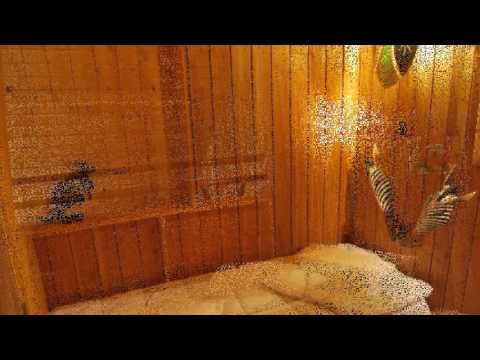 Video-thumbnail van Vakantiepark Cerza Safari Lodge