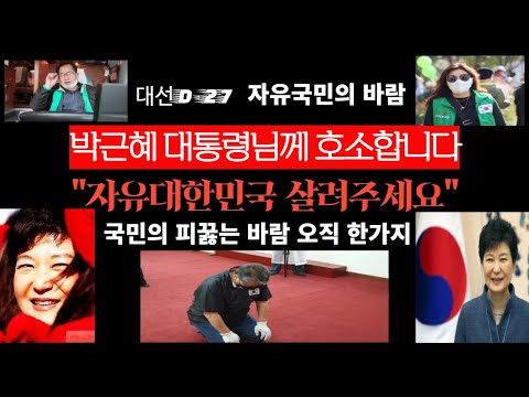 [대선D-27]자유 국민, 박근혜 대통령께  피끊는 호소---&amp;quot;제발 자유대한민국 지켜주옵소서&amp;quot;