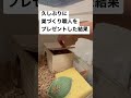 久しぶりの巣づくり職人
