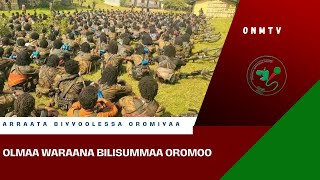 Gabaasa Tarkaanfii ONM-ABO Amajjii 31-2026 itti dhiyaadhaa!