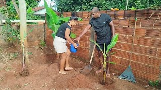 MEU ESPOSO TOPOU A IDÉIA E... COMEÇAMOS AS TRANSFORMAÇÕES, MUDAMOS AS BANANEIRAS, PLANTEI SEMENTES 