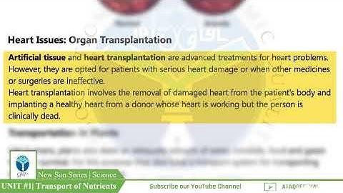 NSS Grade 07 Science Chapter 01 Part 02