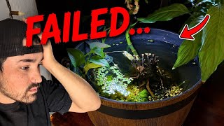 Why My Tabletop Mini Pond FAILED… (I messed up)