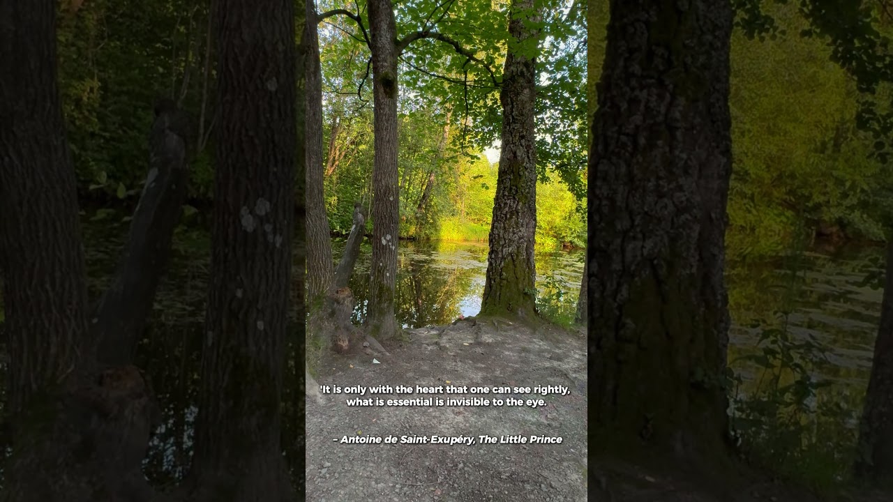 Magical Quotes for Inspiration