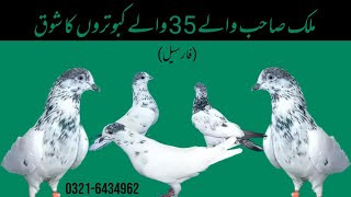 03216434962 (ملک صاحب والے 35 والے کبوتروں کا شوق (فار سیل