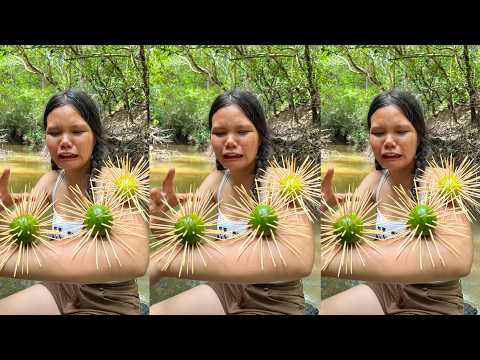 Survival Skills: SMART ideas and Useful in Forest #survival #useful #ideas #smart #shorts #camping