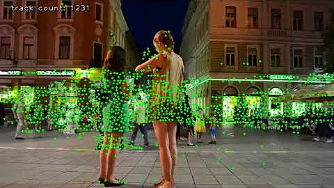 OpenCV's Lukas Kanade Optical Flow Parameter, winSize = (400,400)