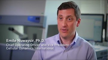 Advances in Stem Cell Research: Essential 8™ Medium, a New Standard for iPS Cell Culture