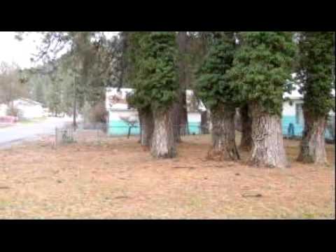 2126 N 12Th St, Coeur d'Alene, ID home video tour