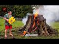 Idiots With Chainsaws: Tree Cutting Fails | Extreme Dangerous Logging Truck Fails #55
