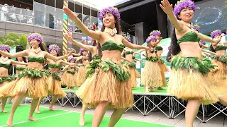 モナモナタヒチ　南町田グランベリーパーク Hawaiian Days　2022年 5月　MonaMona Tahiti  タヒチアンダンスショー　初めて開催されるイベント