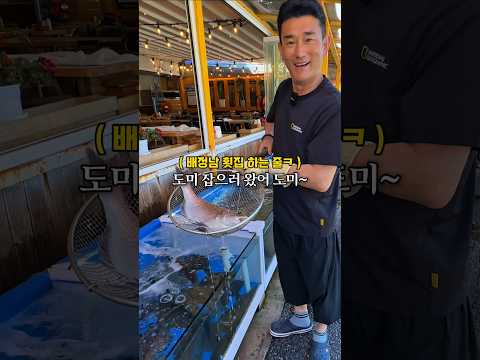 20가지나 나와요? 하나 주문했는데? 초밥, 간장게장, 해산물, 물회 등등 심한데? #강릉 #강릉여행