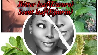 How to make BITTER  LEAF and SCENT LEAF  juice/ Health benefit #youtube #bitterleaf #juice #health