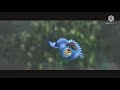 Video De Relleno Rio Blu Flashback Baby Video De Relleno Rio Blu Flashback Baby
